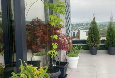 Penthouse de inchiriat in Borhanci, terasa generoasa - 10