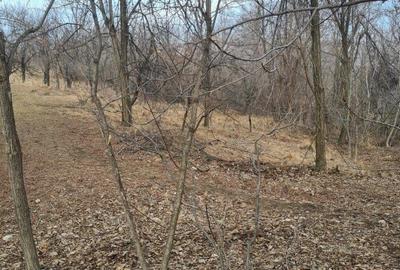 Teren intravilan de vanzare in Cornu de Jos - 4