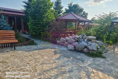 VANZARE CASA OASPETI + ANEXE IN  SAT TEISORI (JUD. GIURGIU) - 45