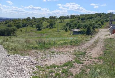Teren intravilan de vanzare in Paleu, Bihor - 3