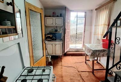 Casa individuala 90mp,teren 1000mp,situata in Dezmir - 7