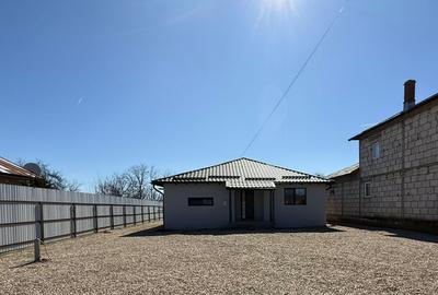 Casă individuală cu 3 camere în Balta Doamnei