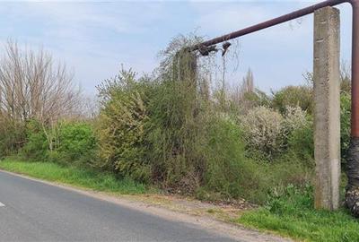 TEREN INTRAVILAN DOROBANTI - 1