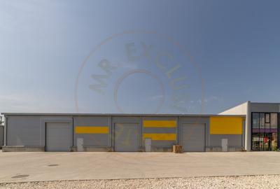 0% Comision-Inchiriere  2 hale noi zona Bascov la DN 7C - 4