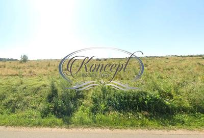 Teren Construcții intravilan de 1100 mp, în Sălicea