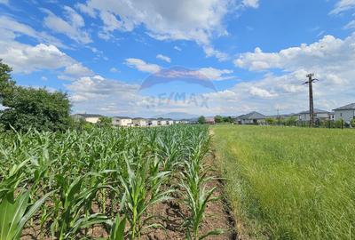 Casă / Vilă, teren 1700mp,  în Lisaura-Ipotești, Suceava - 38