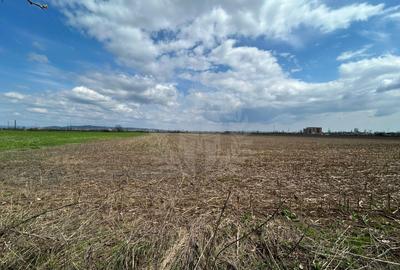 TEREN INTRAVILAN\\ZONA SPITALUL JUDETEAN PLOIESTI - 3