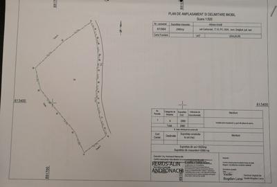 Intravilan 2980 mp - Persoană fizică - 4