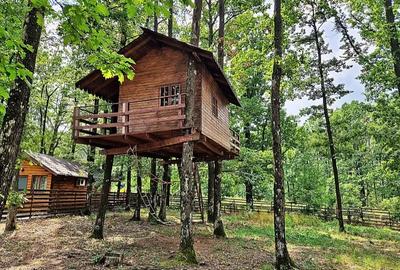 Vila / casa de vânzare / Casa in copac - 2