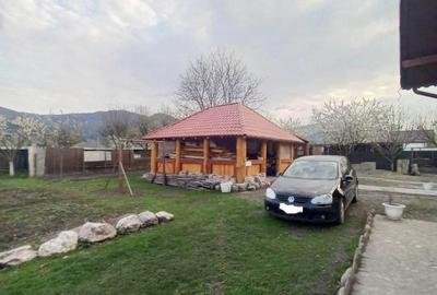 Casa - cadru natural de poveste, Al. cel Bun - 4