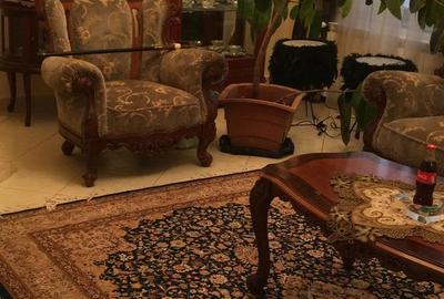 Ultracentral,vila S+P+E,faleza Dunarii,langa parc,Primaria Corabia,teren=1137mp - 6