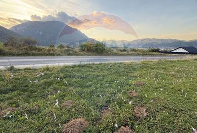 Teren 646mp intre Bran si Zarnesti (Tohanita,) intravilan - 16