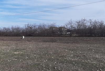 Vand Teren 25m Deschidere Directa la Lac, Intravilan-Construibil, 700mp(25x28m) - 8