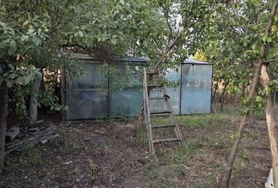 Casă și teren 2177 mp Ortisoara -28ml front-comision 0 - 14