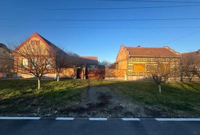 De vanzare proprietate in Belint, jud. Timis – 2 case si teren 7.805 mp - 1