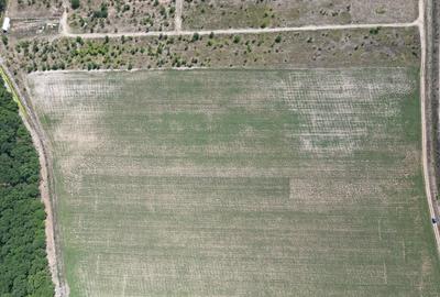 Teren Construcții intravilan de 4528 mp, în Corbeanca