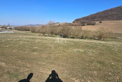 Teren 4 362 Mp Intravilan de Vanzare, Str Caprioarei, Sangeorgiu de Ms - 8