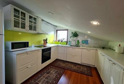 Vila + Afacere 15.000mp Clinceni - 17