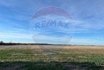 Teren extravilan de vanzare 17500 mp, deschidere 27m la DN1,  Ploiesti - 7