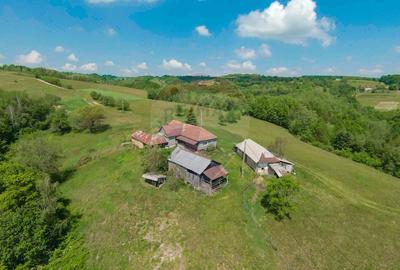 De vânzare casă cu teren și pădure 55706 mp - Șinteu, Valea Târnei - 20
