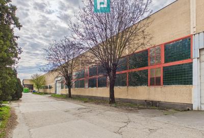 Spațiu industrial, 1275 mp în Sânnicolau Mic