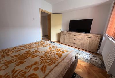 Dacia, Guliver, stradal - 7