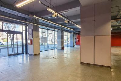 Inchiriere Spatiu Comercial - Sos. Nicolae Titulescu 639 mp - 4
