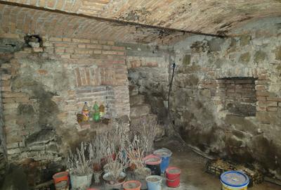 Casa 3 camere libera la vanzare TARLUNGENI - 14