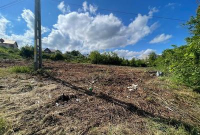 Ocazie! Visani str Castelul Grecilor TEREN 707mp intravilan toate utilitatile - 6