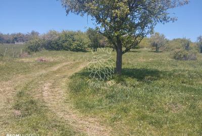 Teren 4400 mp -Parcelabil - panoramic -  Subcetate. - 1