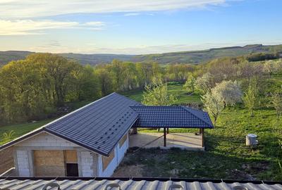 OPORTUNITATE!!! Casă cu iaz – cadru natural deosebit, la 17 km de  Pascani - 4