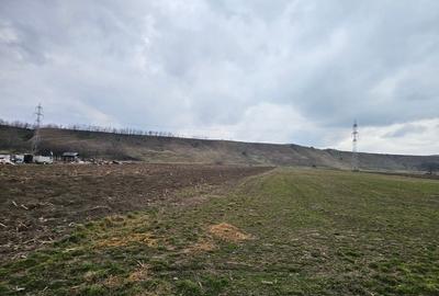 Oportunitate investitie – Teren intravilan in Bacau - 6
