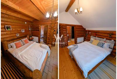 Cabana / Casa de vacanta pe Transfagarasan - Sibiu - 8