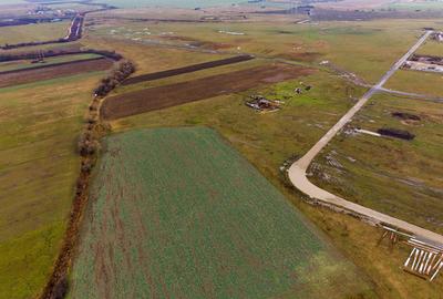 Teren intravilan de 5000 mp lângă centura Nord - 8