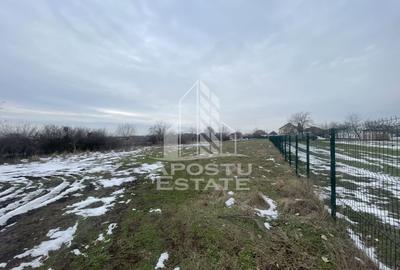 Teren 2133 mp, in centrul comunei Giarmata - 2