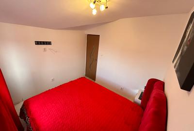 2 Cam-Sagului-5 Min de Centru-43 MP-Aer conditionat-Mobilat-Utilat-66.000 Euro ! - 8