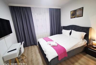 Garsonieră Calea Lipovei - 1