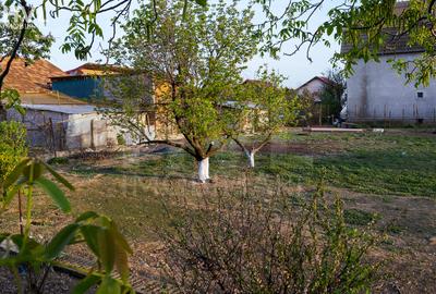 Teren intravilan 1.769 mp în Bujac | Poziționare pe colț | Utilități - 3