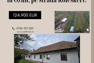 Casă individuală cu 3 camere în Ozun