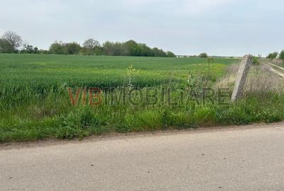 Teren în Dascălu