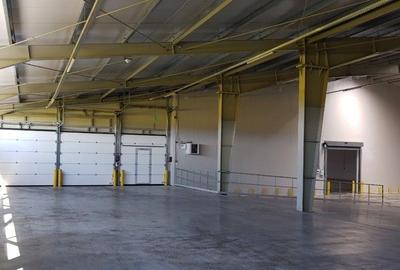 Inchiriere spații cu suprafețe între 600 mp și 3.000 mp /  Logistics park - 9