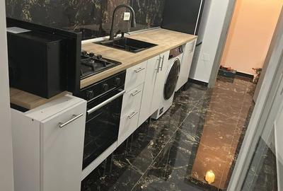 Garsoniera de vanzare Padurea Rosu - 3