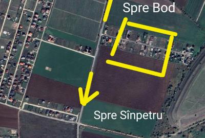 Teren Construcții intravilan de 800 mp, în Bod