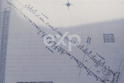 Stefanesti | Proprietate cu doua imobile | Teren 3.297 mp | La 4 km de Pitesti - 5