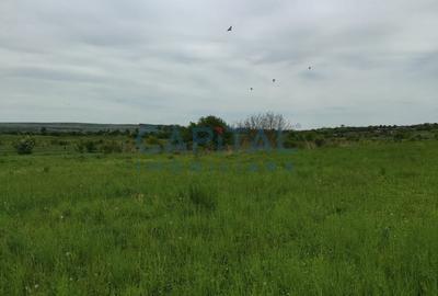 Comision 0%! Oportunitate, teren intravilan, 800 mp Masterplan, Sopor - 5