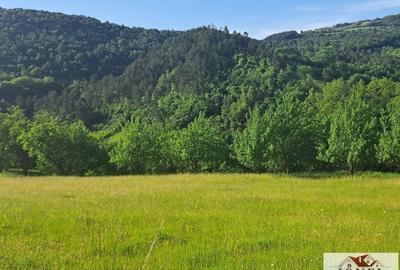 Vanzare casa cu 19.549 mp teren in Vintu de Jos - Valea Vintului - 10