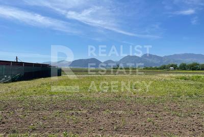 Teren Cartier Izvor - Sacele - 1