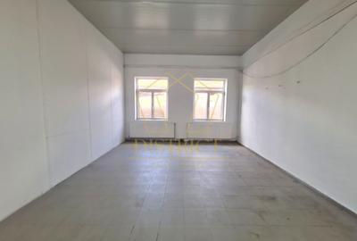 Clădire de birouri cu hala industriala si teren 1464mp | Mehala - 12