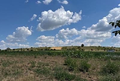 Teren extravilan de 3623 mp, în Episcopia Bihorului