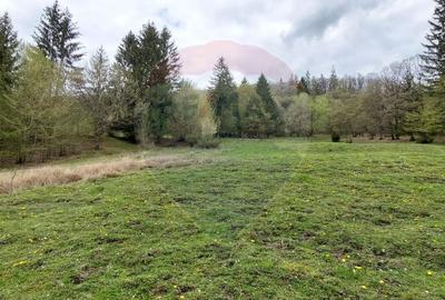 Poienita 2800mp, Covasna, zona hotel Clermont, inconjurat de padure - 9